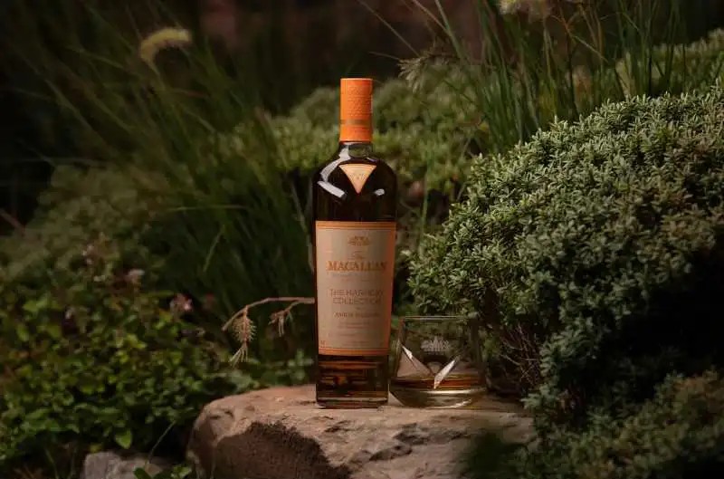 麥卡倫 黃金麥穗 The Macallan Harmony Collection Amber Meadow single malt whisky:圖片 2