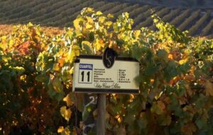 901a8d d2b2bd8be3214f888a1d6c13393ace91