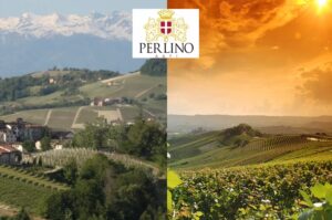 901a8d 1bea698f81144b2392de06dea11d9479~mv2