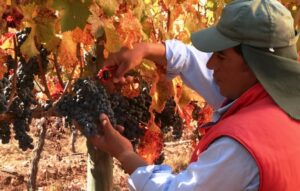 901a8d a985f88b13014610a6fd3ffde00adf31