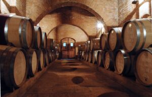 PHOSUN CELLAR BARREA